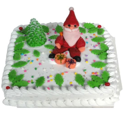 christmas-cake-with-senta